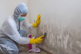 Best Mold Removal for HVAC Installations  in Vineyard, CA